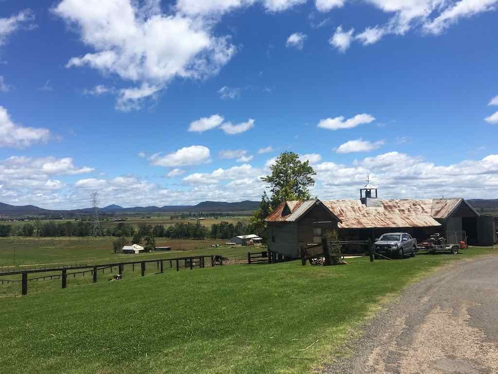 PDT Camel Farm - November 2022 Image -63632a66430bb